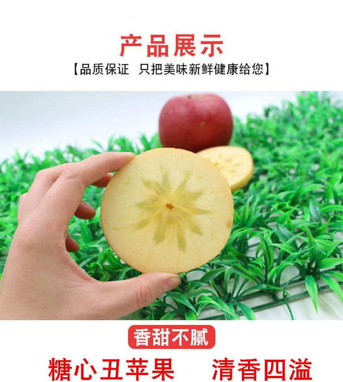 大涼山鹽源丑蘋果 自然孕育的冰糖心，脆甜多汁的應季佳品